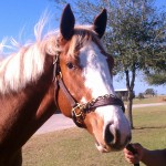 Lucky to Make the Gate